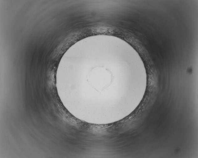 X0000116150820201001041051