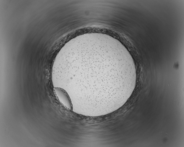 X0000116150821201001041051