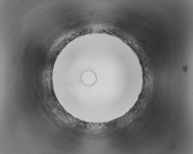 X0000116150824201001041051