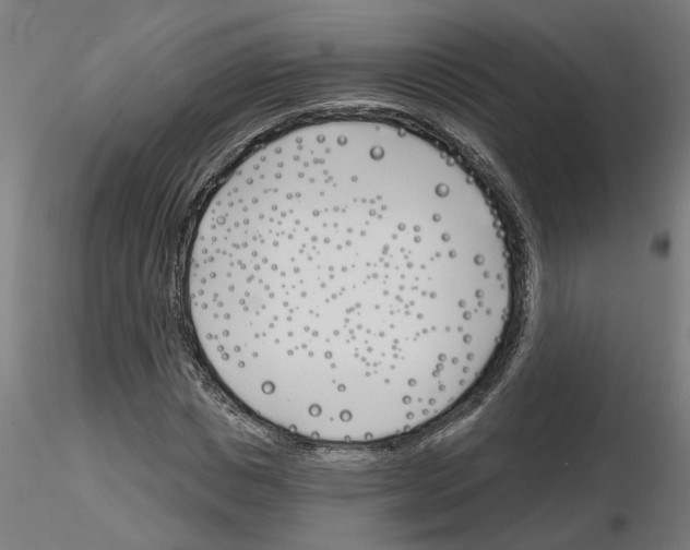 X0000116150825201001041051