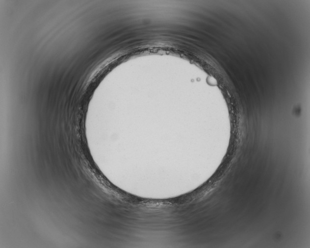 X0000116150826201001041051