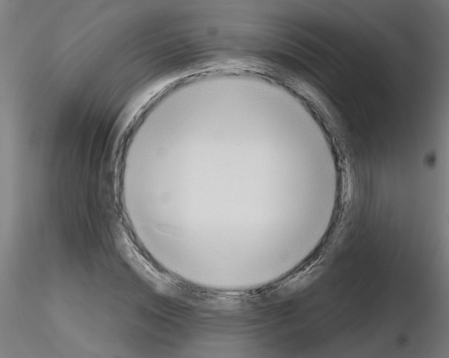 X0000116150828201001041051