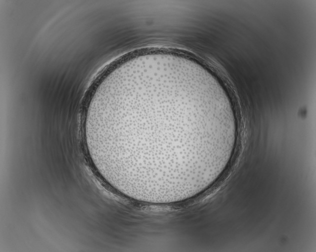 X0000116150831201001041051