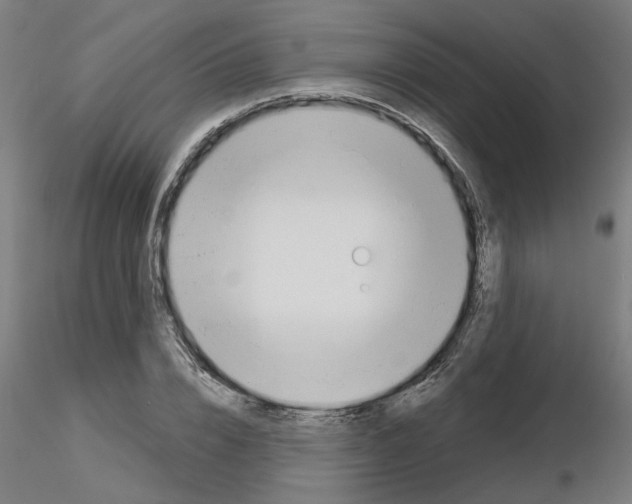 X0000116150832201001041051