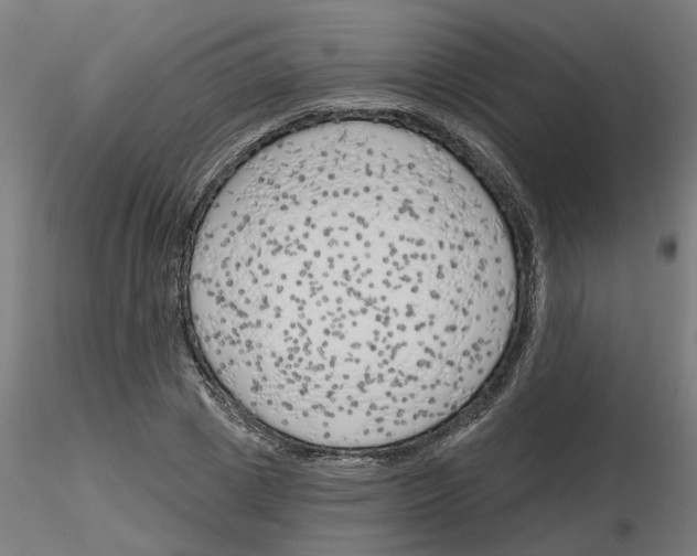 X0000116150833201001041051