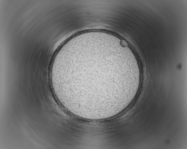 X0000116150834201001041051