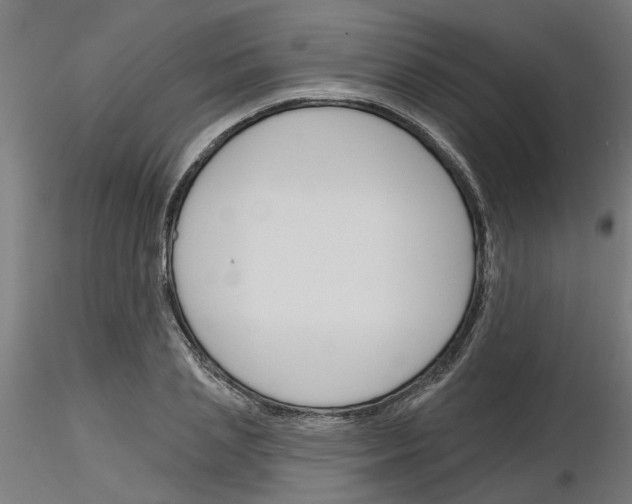 X0000116150837201001041051