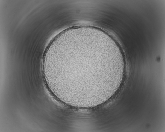 X0000116150839201001041051