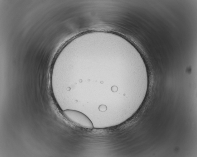 X0000116150840201001041051