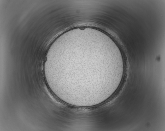 X0000116150841201001041051