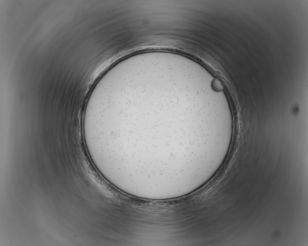 X0000116150842201001041052