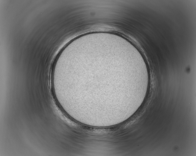 X0000116150843201001041052