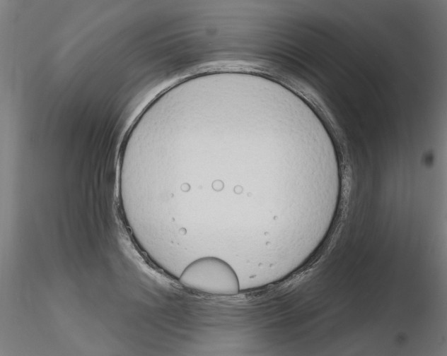 X0000116150844201001041052