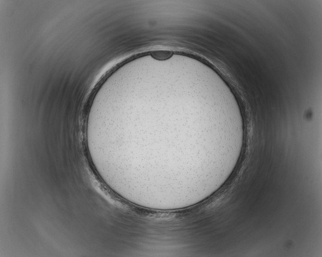 X0000116150846201001041052