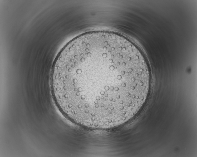 X0000116150847201001041052