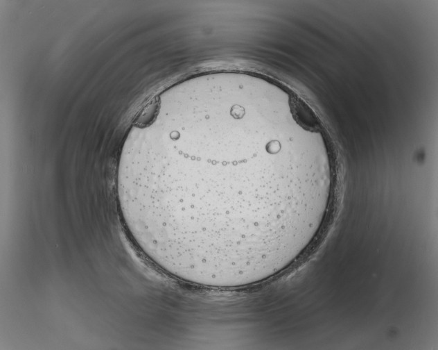 X0000116150849201001041052