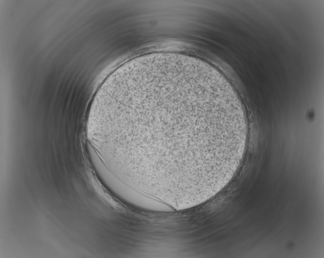 X0000116150850201001041052