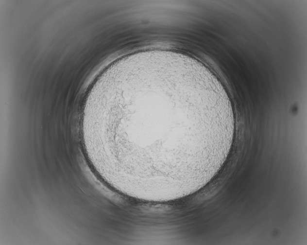 X0000116150851201001041052