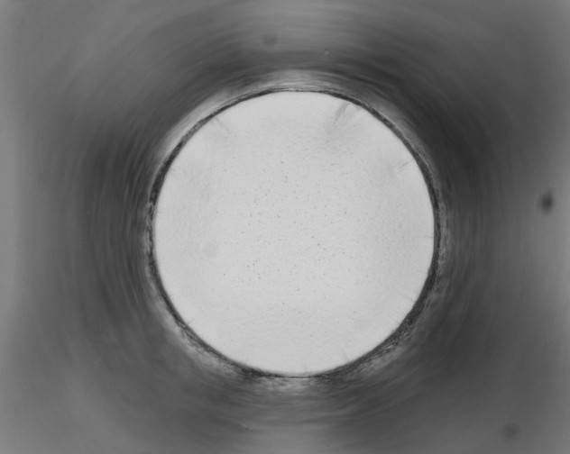 X0000116150853201001041052