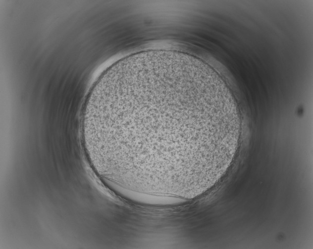 X0000116150854201001041052