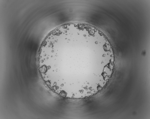 X0000116150856201001041052