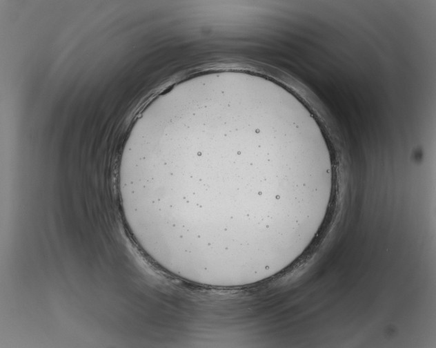 X0000116150857201001041052