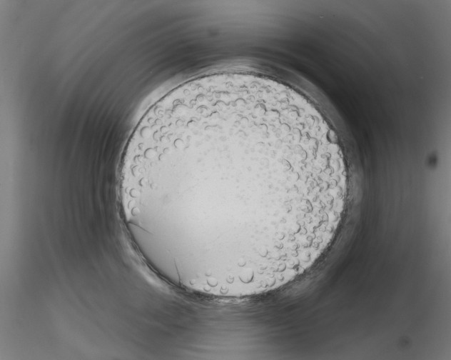 X0000116150858201001041052