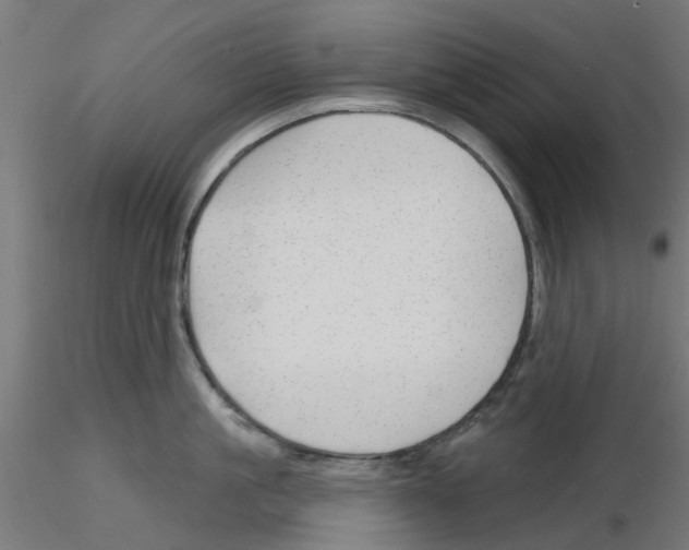 X0000116150861201001041052