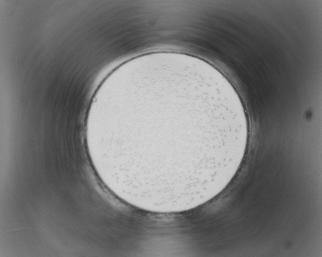 X0000116150862201001041052