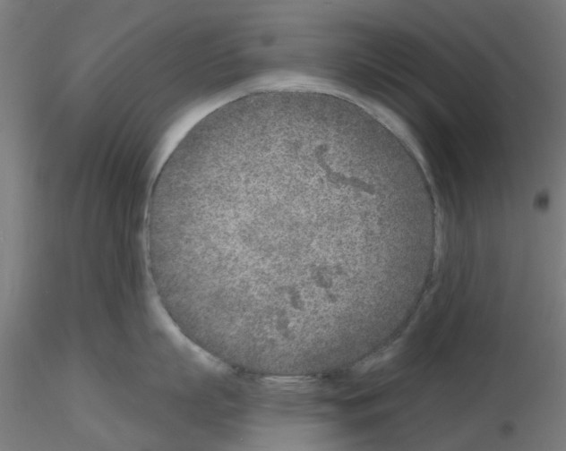 X0000116150863201001041052