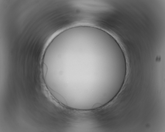 X0000116150864201001041052