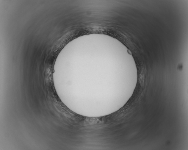 X0000116150866201001041051