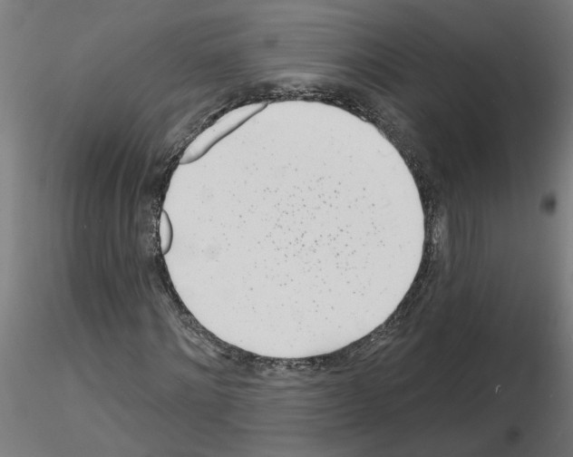 X0000116150868201001041051