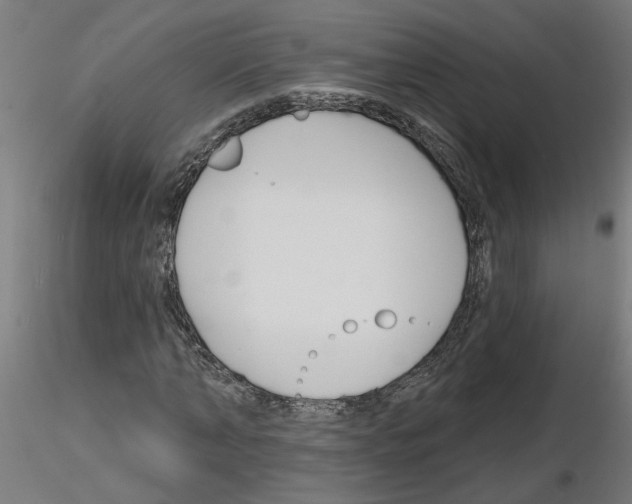 X0000116150870201001041051