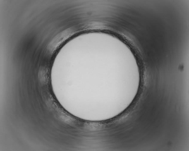 X0000116150873201001041051