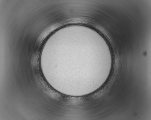 X0000116150874201001041051