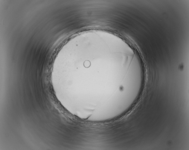 X0000116150876201001041051