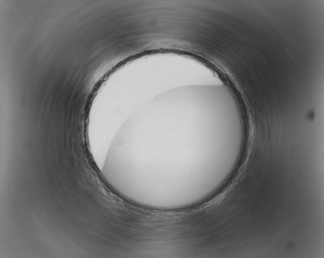 X0000116150877201001041051