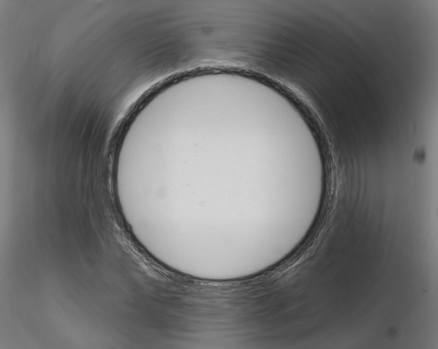 X0000116150878201001041051