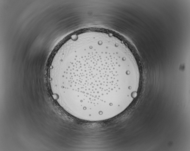 X0000116150879201001041051