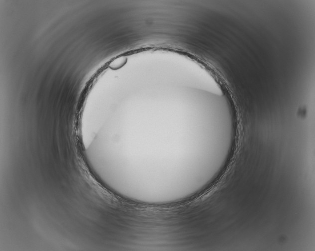 X0000116150880201001041051