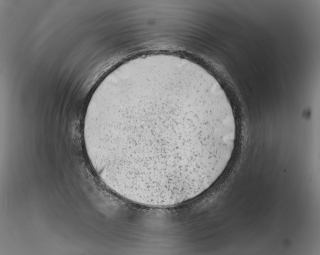 X0000116150881201001041051