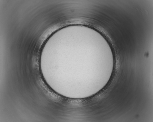 X0000116150882201001041051