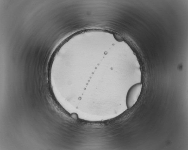 X0000116150884201001041051