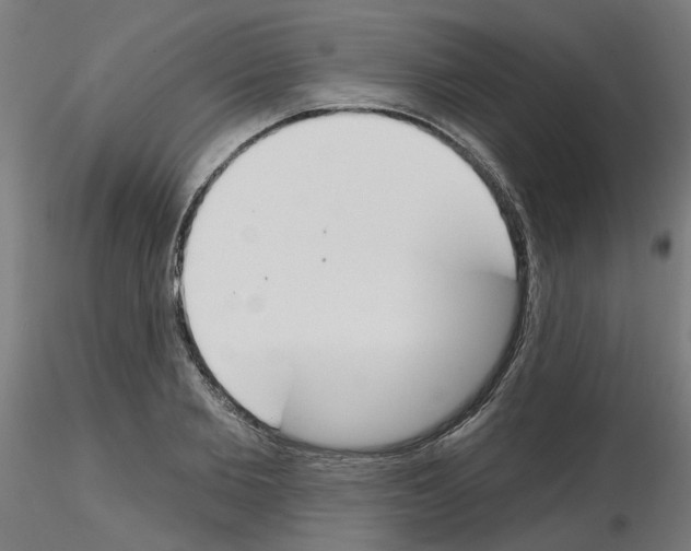 X0000116150885201001041051