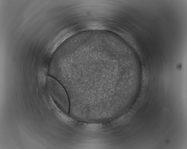 X0000116150889201001041051