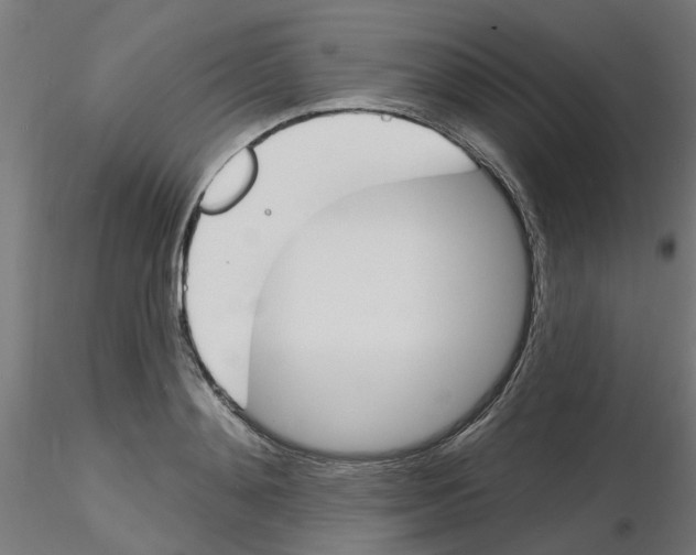 X0000116150892201001041051