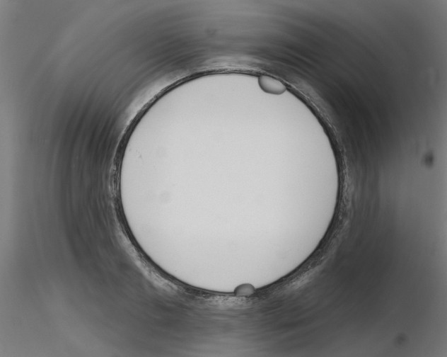 X0000116150893201001041051