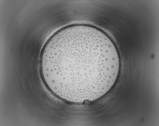 X0000116150895201001041051