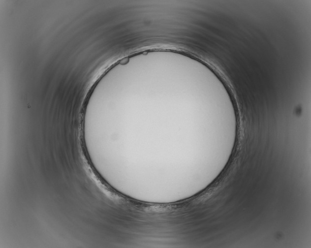 X0000116150898201001041051